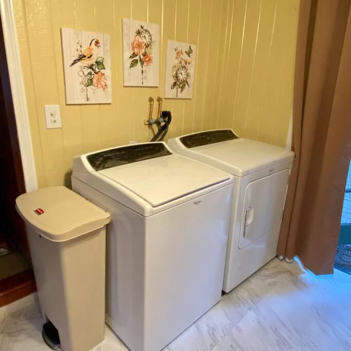 Snow Bunny Cottage, Pets Welcomed! Green Valley Lake 외부 사진