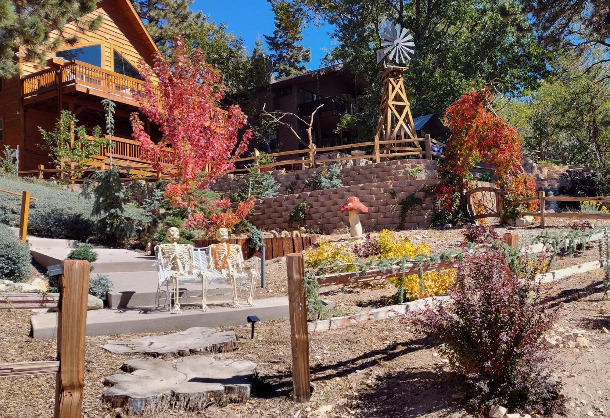 Snow Bunny Cottage, Pets Welcomed! Green Valley Lake 외부 사진