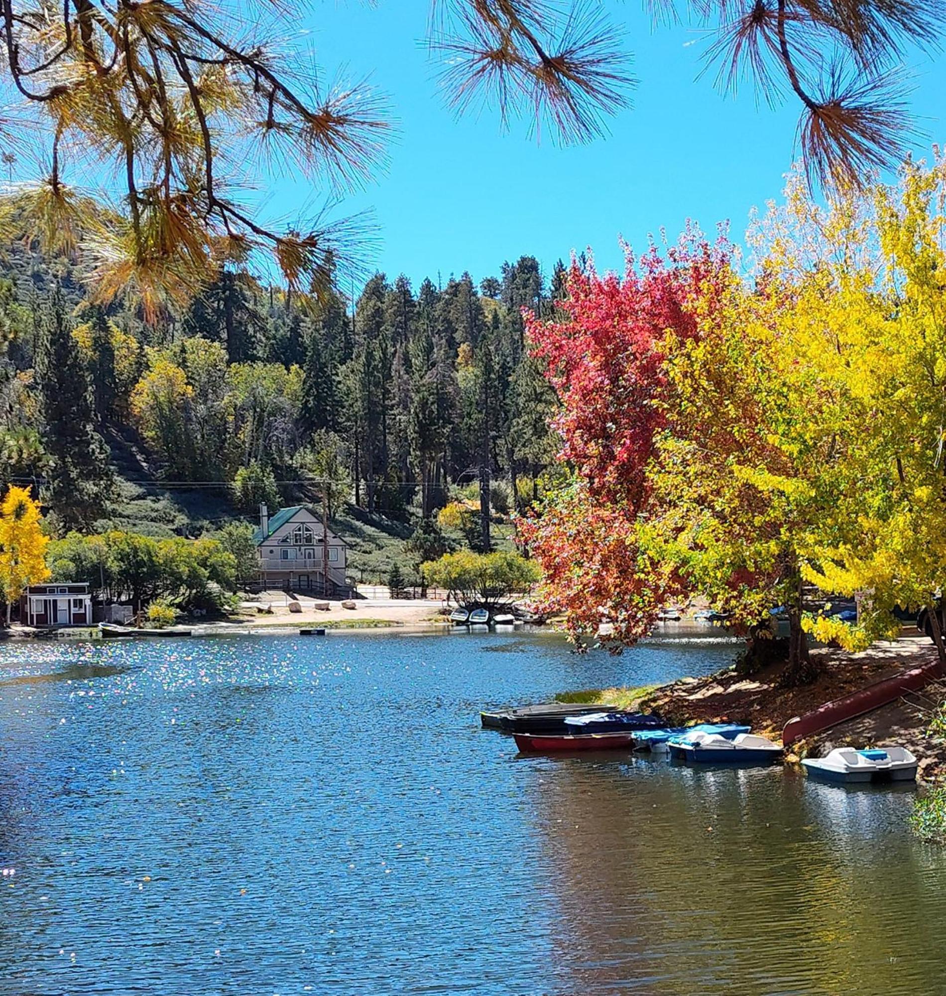 Snow Bunny Cottage, Pets Welcomed! Green Valley Lake 외부 사진