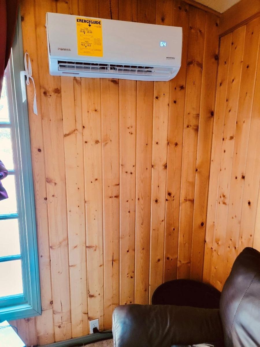 Snow Bunny Cottage, Pets Welcomed! Green Valley Lake 외부 사진