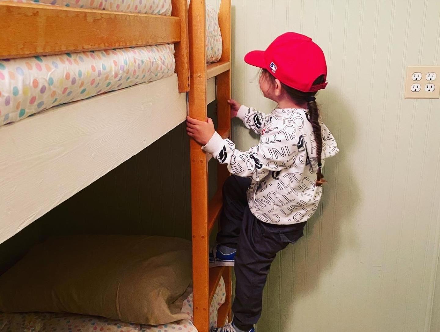 Snow Bunny Cottage, Pets Welcomed! Green Valley Lake 외부 사진