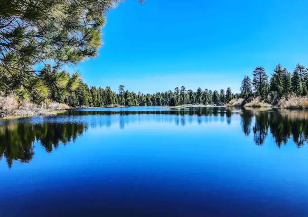 Snow Bunny Cottage, Pets Welcomed! Green Valley Lake 외부 사진
