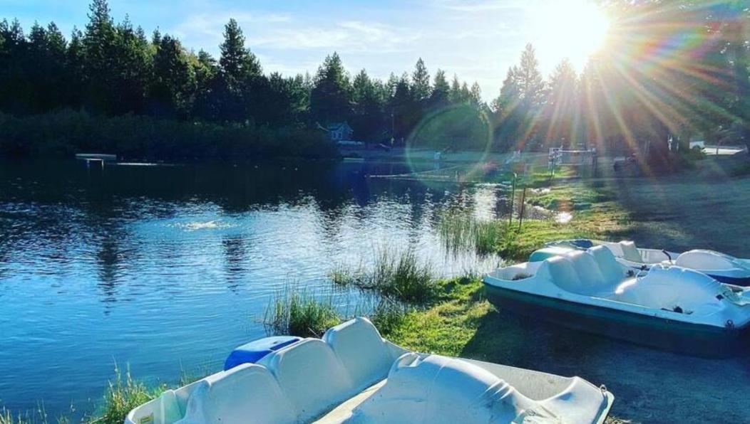 Snow Bunny Cottage, Pets Welcomed! Green Valley Lake 외부 사진