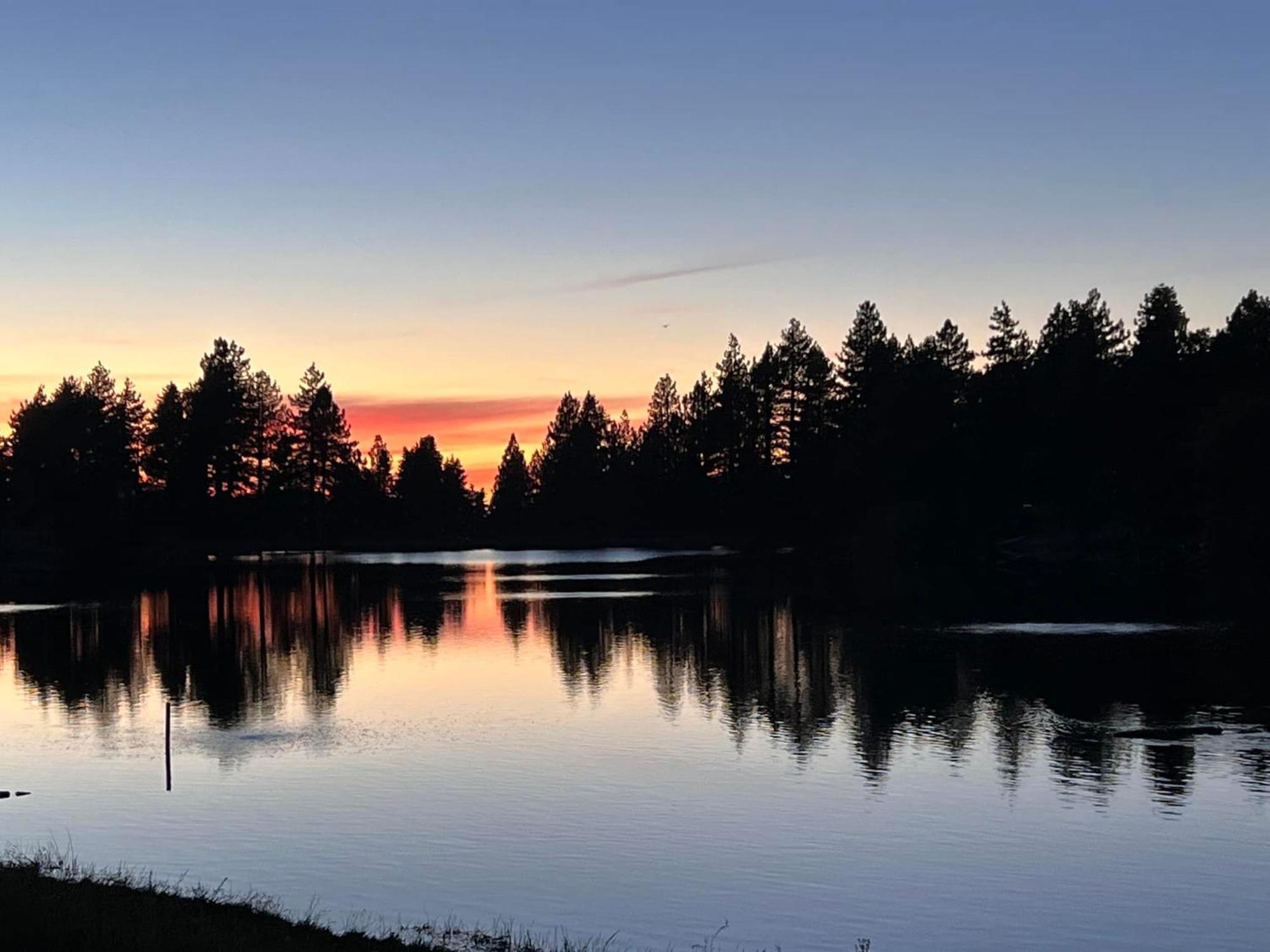 Snow Bunny Cottage, Pets Welcomed! Green Valley Lake 외부 사진