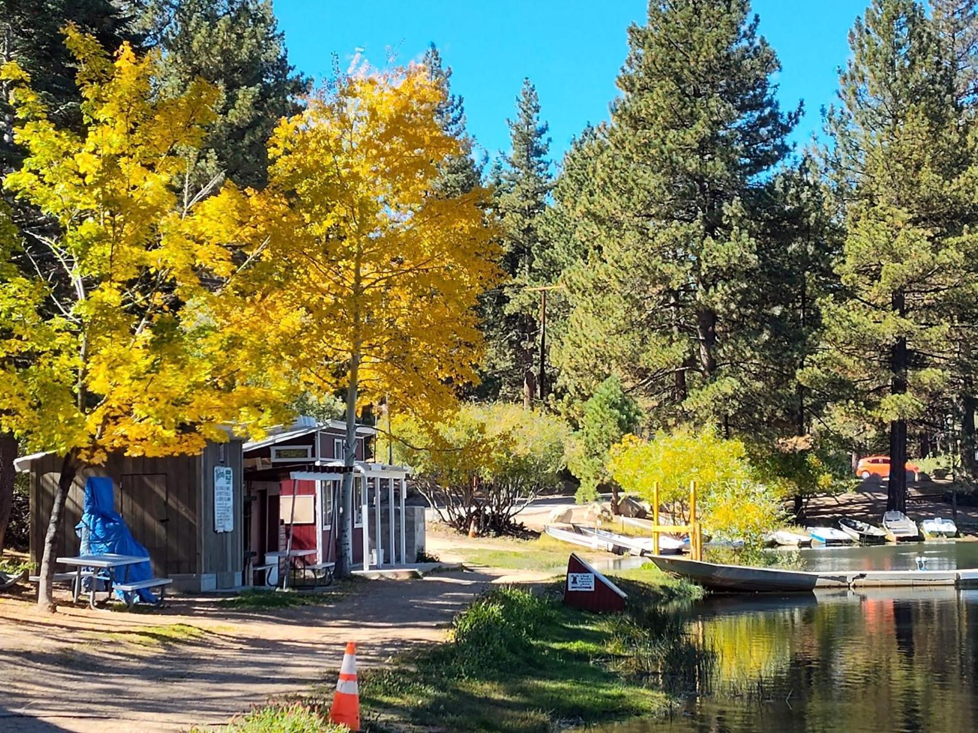 Snow Bunny Cottage, Pets Welcomed! Green Valley Lake 외부 사진